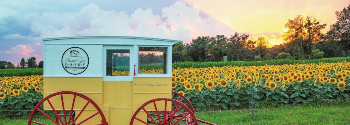 A blue and yellow carriage with red wheels and tongue, in front of a field of sunflowers, with a radiant sunset in the horizon.