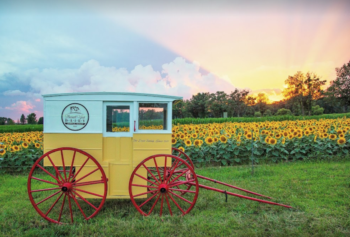 A blue and yellow carriage with red wheels and tongue, in front of a field of sunflowers, with a radiant sunset in the horizon.